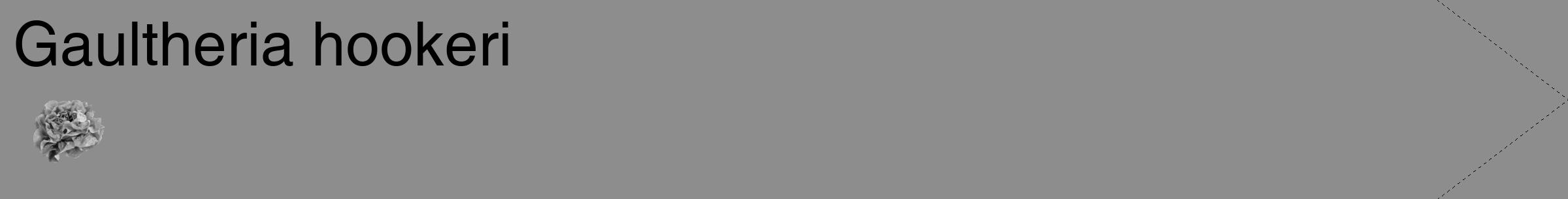 Étiquette de : Gaultheria hookeri - format c - style noire2_simple_simplehel avec comestibilité simplifiée