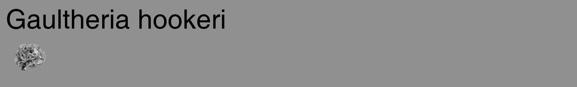 Étiquette de : Gaultheria hookeri - format c - style noire4_basique_basiquehel avec comestibilité simplifiée