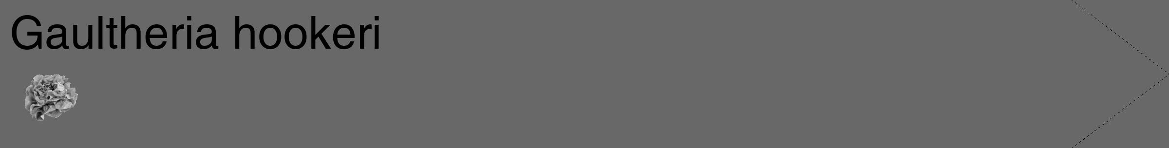Étiquette de : Gaultheria hookeri - format c - style noire6_simple_simplehel avec comestibilité simplifiée