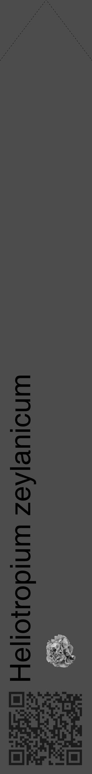 Étiquette de : Heliotropium zeylanicum - format c - style noire27_simple_simplehel avec qrcode et comestibilité simplifiée - position verticale