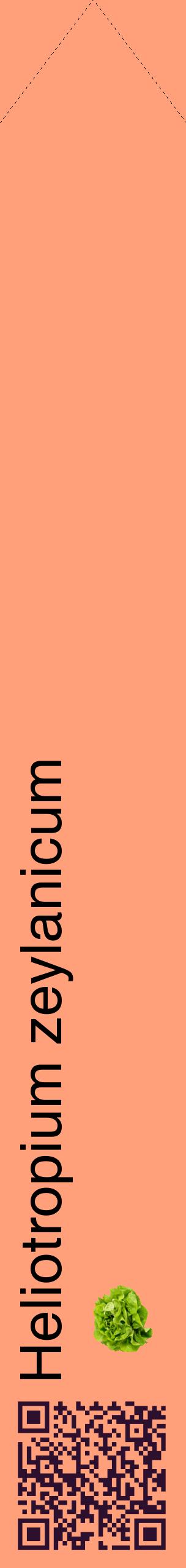 Étiquette de : Heliotropium zeylanicum - format c - style noire39_simplehel avec qrcode et comestibilité simplifiée