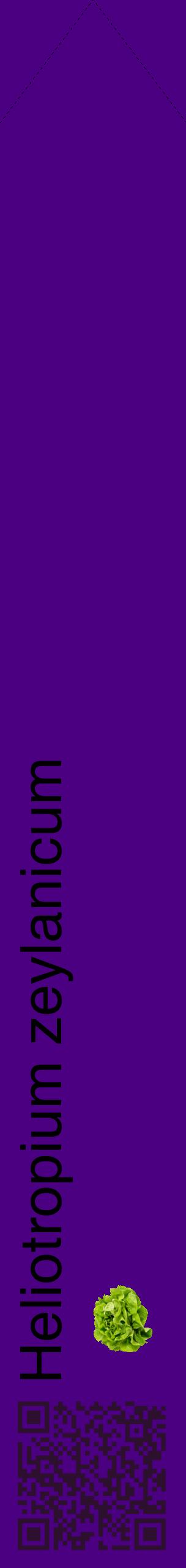 Étiquette de : Heliotropium zeylanicum - format c - style noire47_simplehel avec qrcode et comestibilité simplifiée