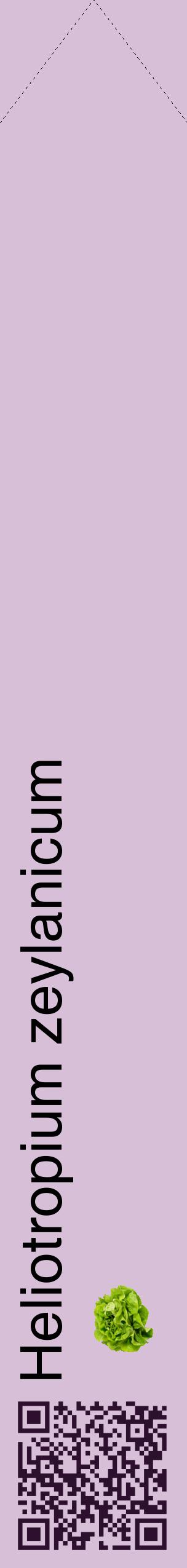 Étiquette de : Heliotropium zeylanicum - format c - style noire54_simplehel avec qrcode et comestibilité simplifiée