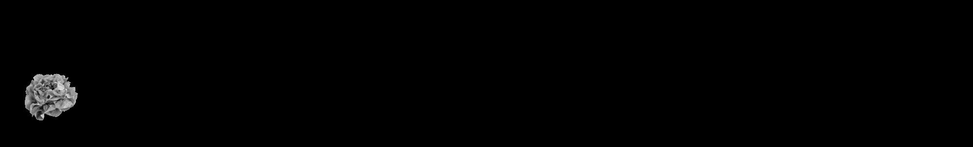 Étiquette de : Hypericum boreale - format c - style noire59_basique_basiquehel avec comestibilité simplifiée
