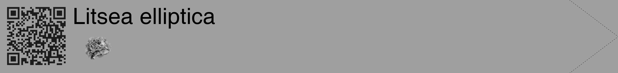 Étiquette de : Litsea elliptica - format c - style noire24_simple_simplehel avec qrcode et comestibilité simplifiée