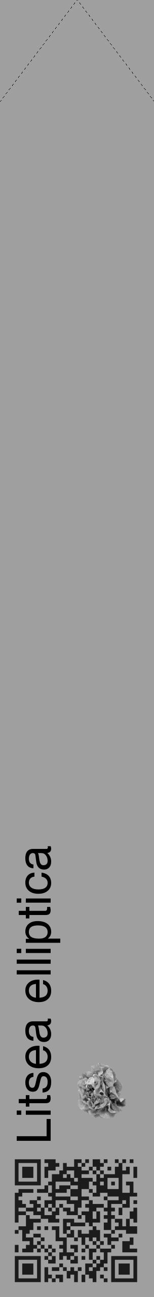Étiquette de : Litsea elliptica - format c - style noire24_simple_simplehel avec qrcode et comestibilité simplifiée - position verticale