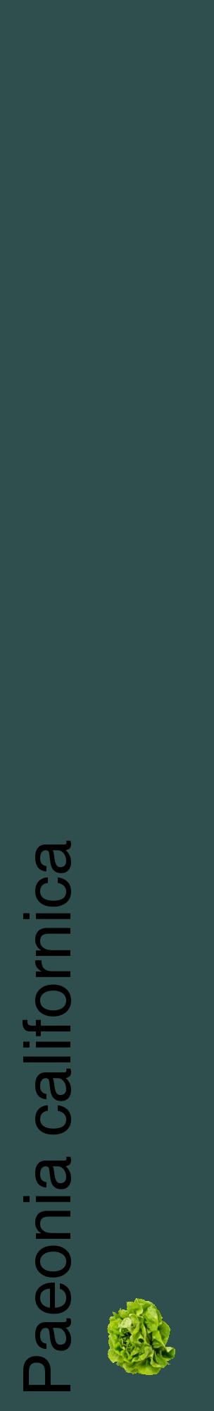 Étiquette de : Paeonia californica - format c - style noire58_basiquehel avec comestibilité simplifiée