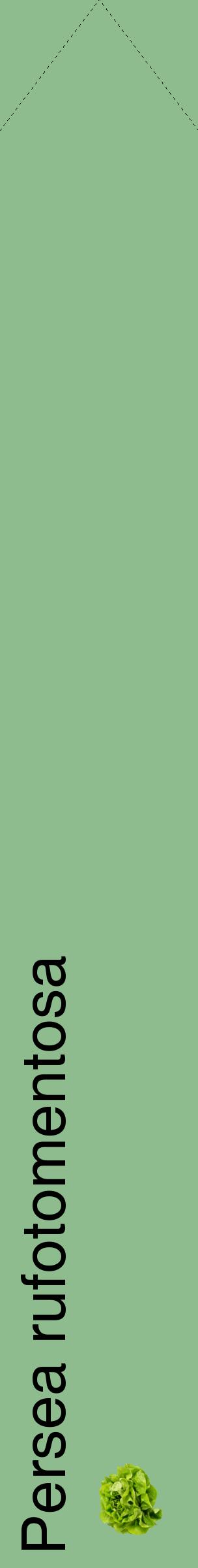 Étiquette de : Persea rufotomentosa - format c - style noire13_simplehel avec comestibilité simplifiée