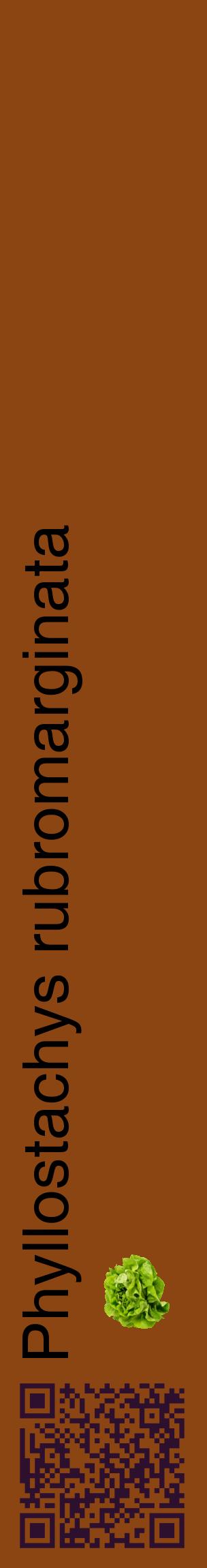 Étiquette de : Phyllostachys rubromarginata - format c - style noire30_basiquehel avec qrcode et comestibilité simplifiée