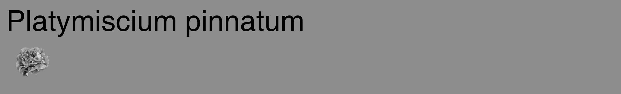 Étiquette de : Platymiscium pinnatum - format c - style noire2_basique_basiquehel avec comestibilité simplifiée
