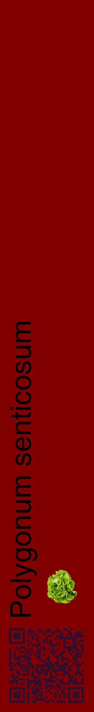 Étiquette de : Polygonum senticosum - format c - style noire29_basiquehel avec qrcode et comestibilité simplifiée