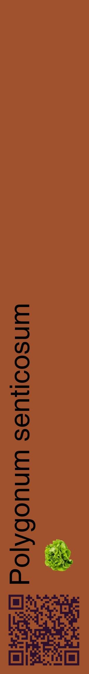 Étiquette de : Polygonum senticosum - format c - style noire32_basiquehel avec qrcode et comestibilité simplifiée