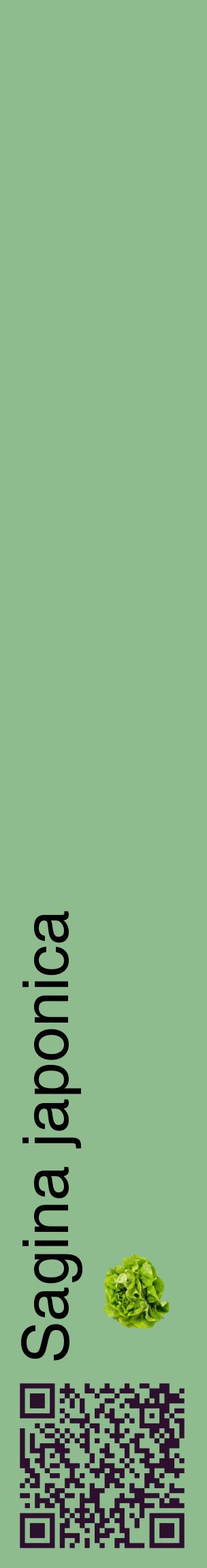 Étiquette de : Sagina japonica - format c - style noire13_basiquehel avec qrcode et comestibilité simplifiée