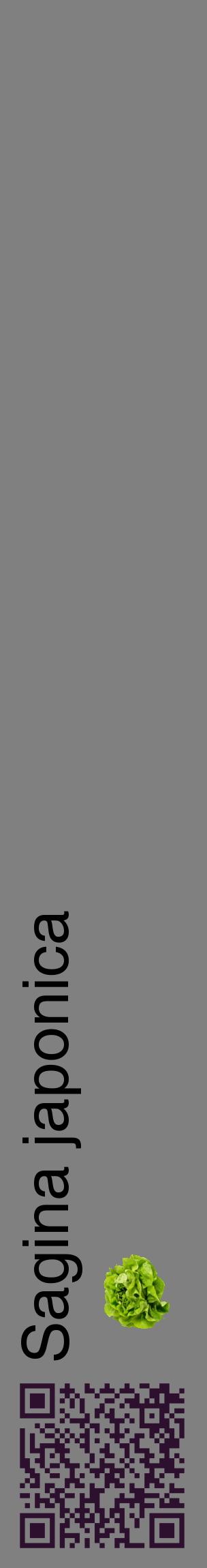 Étiquette de : Sagina japonica - format c - style noire57_basiquehel avec qrcode et comestibilité simplifiée