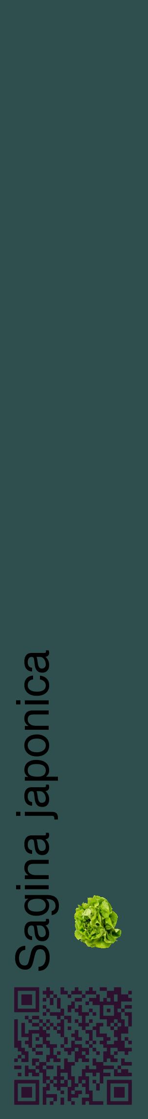 Étiquette de : Sagina japonica - format c - style noire58_basiquehel avec qrcode et comestibilité simplifiée