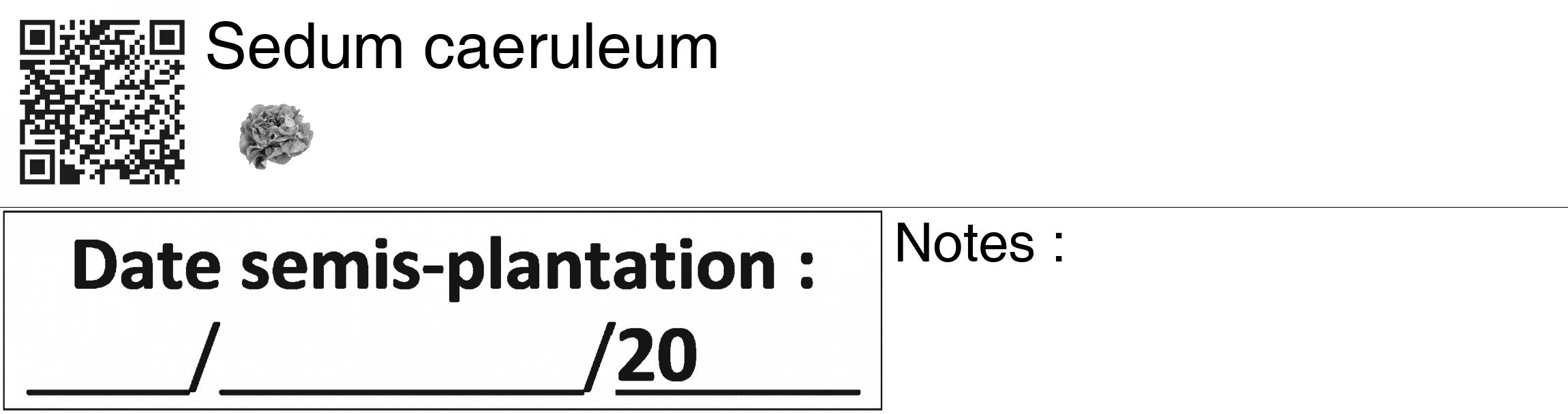 Étiquette de : Sedum caeruleum - format c - style noire60_basiquegrrvhel avec qrcode et comestibilité simplifiée