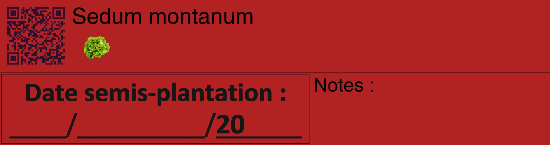 Étiquette de : Sedum montanum - format c - style noire28_basique_basiquehel avec qrcode et comestibilité simplifiée