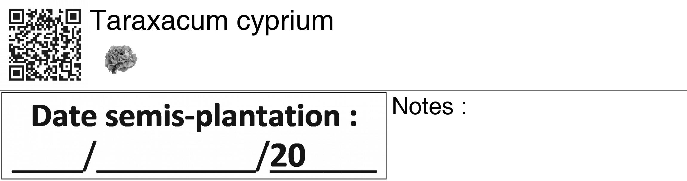 Étiquette de : Taraxacum cyprium - format c - style noire60_basiquegrrvhel avec qrcode et comestibilité simplifiée