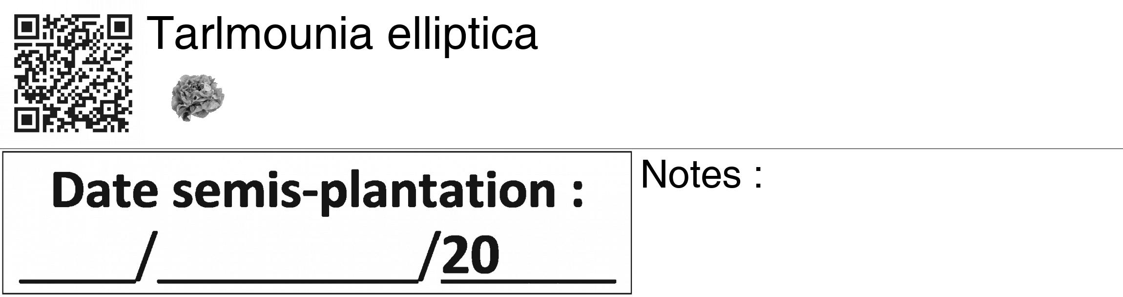 Étiquette de : Tarlmounia elliptica - format c - style noire60_basiquegrrvhel avec qrcode et comestibilité simplifiée