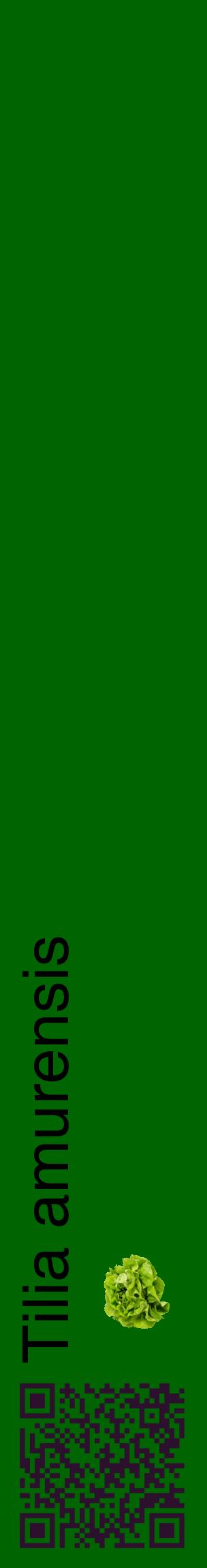 Étiquette de : Tilia amurensis - format c - style noire8_basiquehel avec qrcode et comestibilité simplifiée