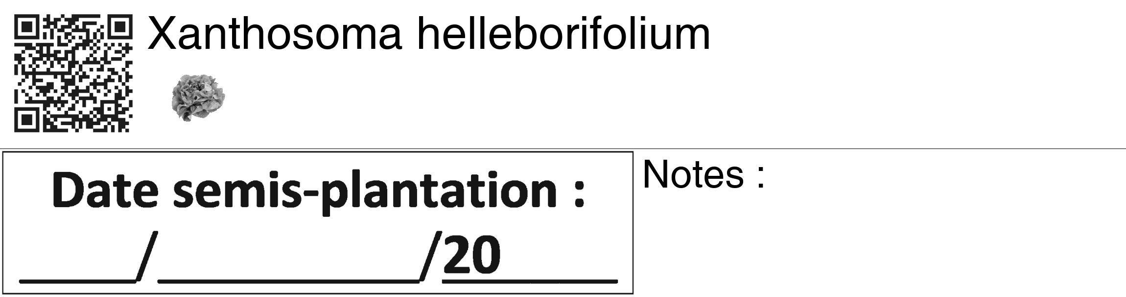 Étiquette de : Xanthosoma helleborifolium - format c - style noire60_basiquegrrvhel avec qrcode et comestibilité simplifiée