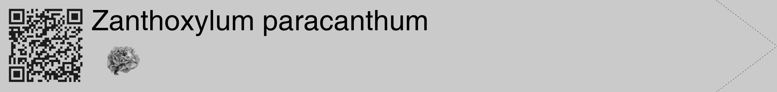 Étiquette de : Zanthoxylum paracanthum - format c - style noire21_simple_simplehel avec qrcode et comestibilité simplifiée