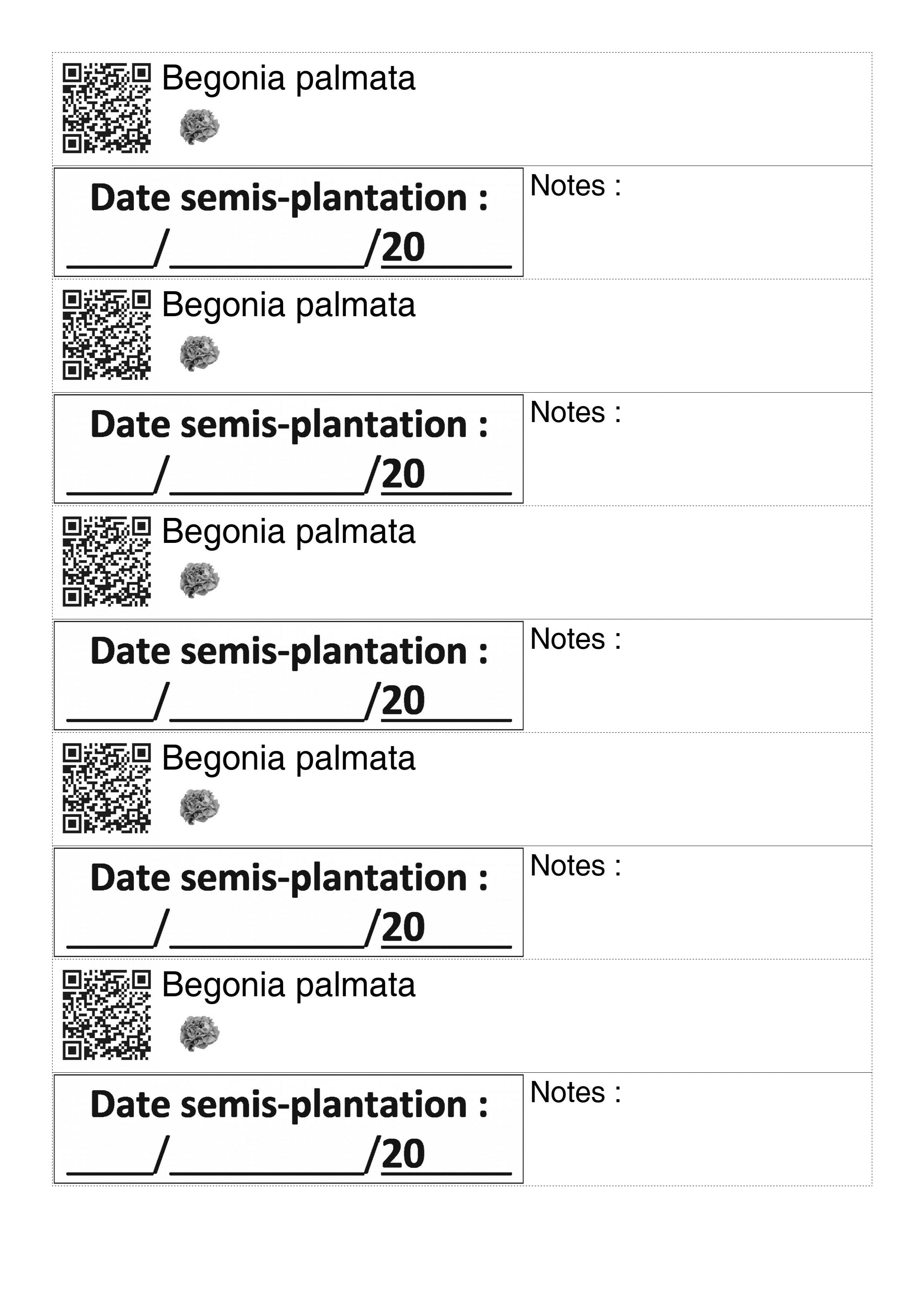 Planche d'étiquettes de : Begonia palmata - style 60_basiquegrrvchelnoire avec qrcode et comestibilité simplifiée