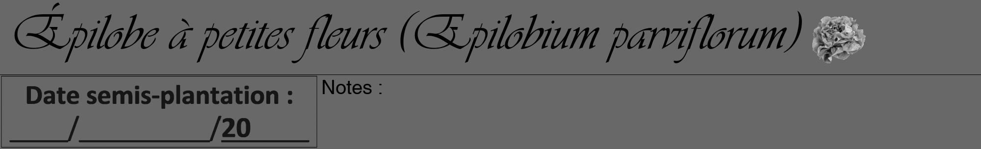 Étiquette de : Epilobium parviflorum - format a - style noire43viv avec comestibilité simplifiée