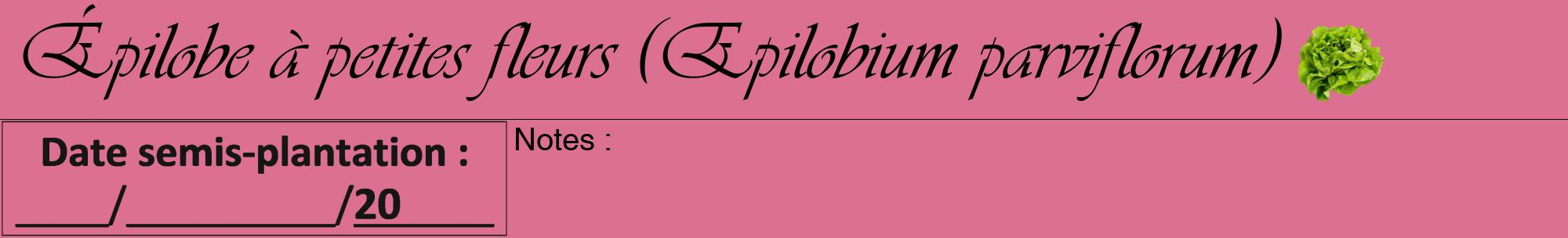 Étiquette de : Epilobium parviflorum - format a - style noire44viv avec comestibilité simplifiée