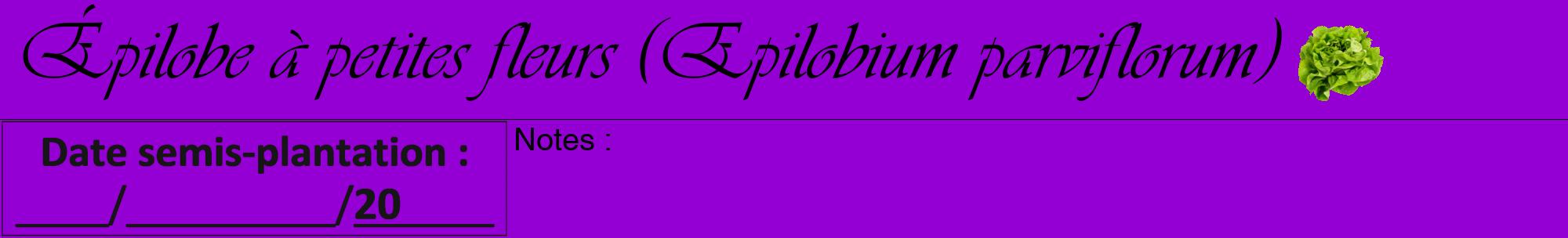 Étiquette de : Epilobium parviflorum - format a - style noire48viv avec comestibilité simplifiée