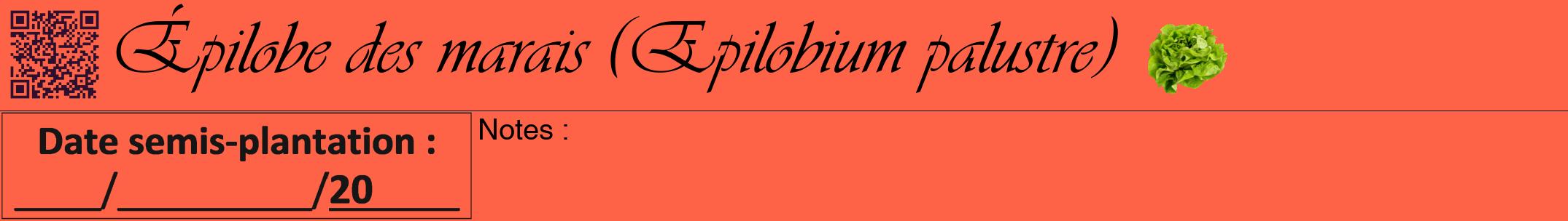 Étiquette de : Epilobium palustre - format a - style noire25viv avec qrcode et comestibilité simplifiée