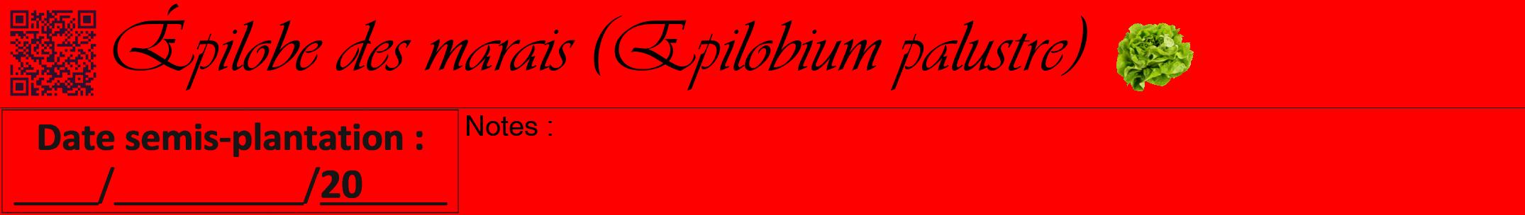 Étiquette de : Epilobium palustre - format a - style noire27viv avec qrcode et comestibilité simplifiée