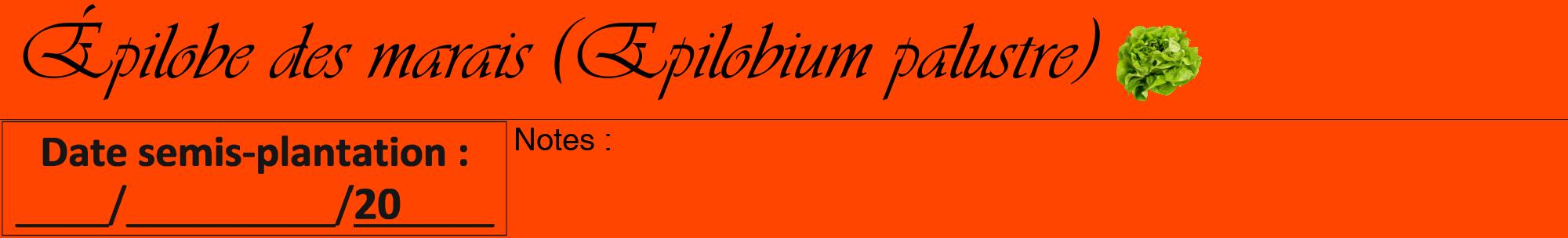 Étiquette de : Epilobium palustre - format a - style noire26viv avec comestibilité simplifiée