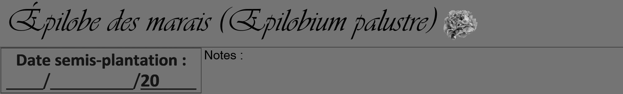 Étiquette de : Epilobium palustre - format a - style noire26viv avec comestibilité simplifiée