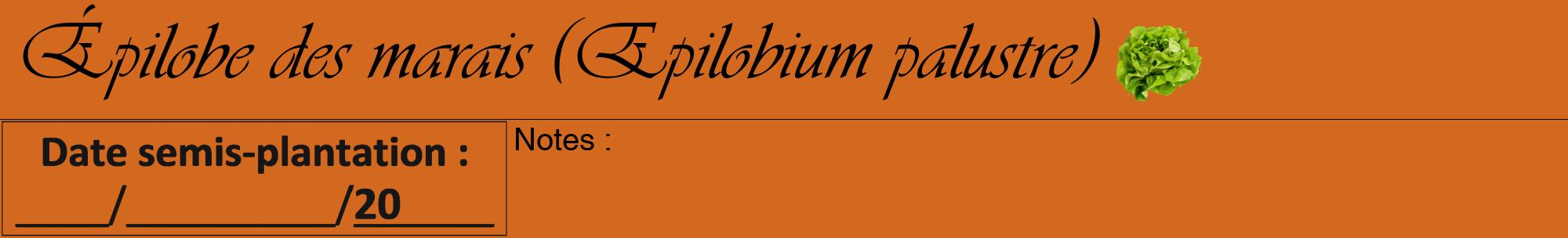 Étiquette de : Epilobium palustre - format a - style noire31viv avec comestibilité simplifiée