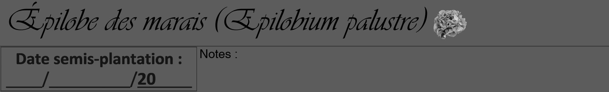 Étiquette de : Epilobium palustre - format a - style noire49viv avec comestibilité simplifiée