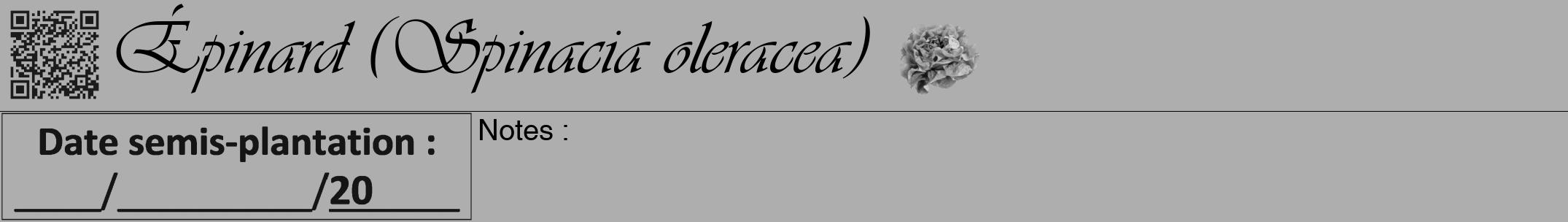 Étiquette de : Spinacia oleracea - format a - style noire53viv avec qrcode et comestibilité simplifiée