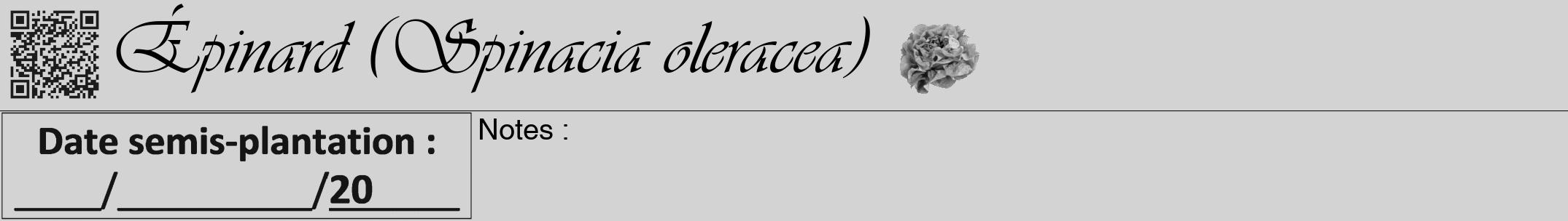 Étiquette de : Spinacia oleracea - format a - style noire56viv avec qrcode et comestibilité simplifiée