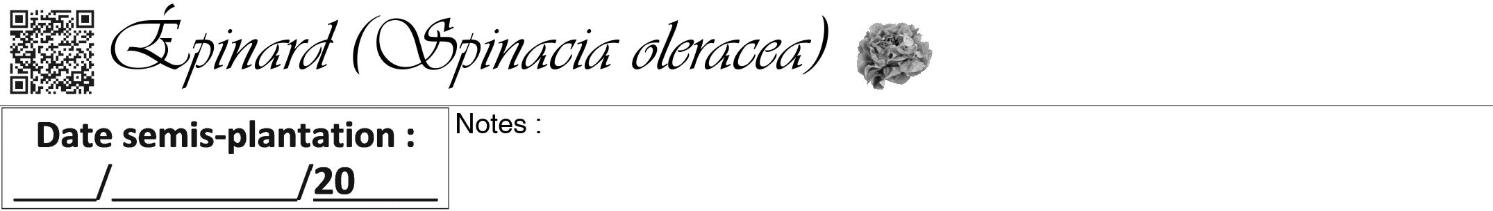 Étiquette de : Spinacia oleracea - format a - style noire60viv avec qrcode et comestibilité simplifiée