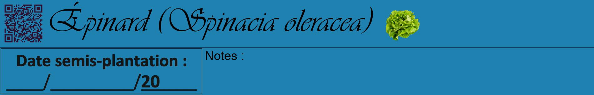 Étiquette de : Spinacia oleracea - format a - style noire6basiqueviv avec qrcode et comestibilité simplifiée