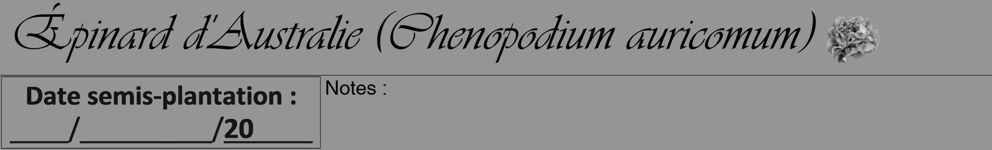 Étiquette de : Chenopodium auricomum - format a - style noire16viv avec comestibilité simplifiée