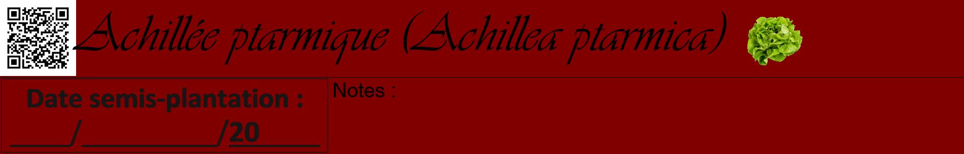 Étiquette de : Achillea ptarmica - format a - style noire29basiqueviv avec qrcode et comestibilité simplifiée