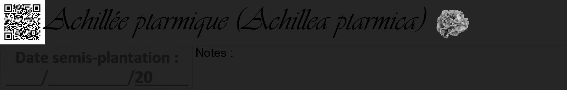 Étiquette de : Achillea ptarmica - format a - style noire29basiqueviv avec qrcode et comestibilité simplifiée
