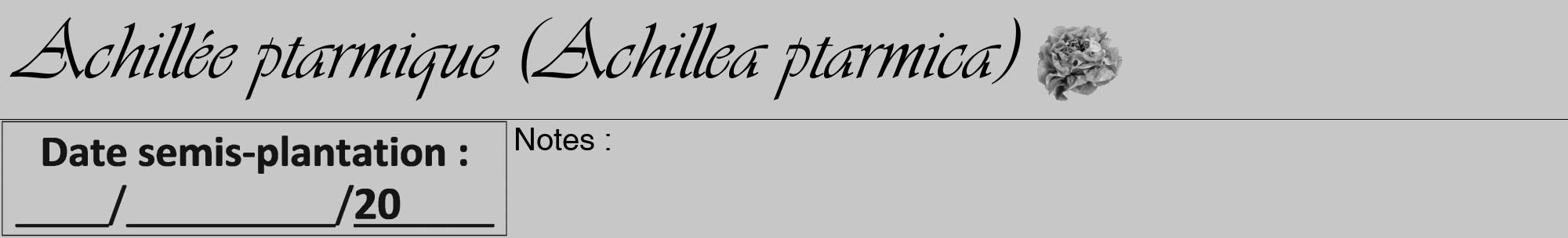 Étiquette de : Achillea ptarmica - format a - style noire15viv avec comestibilité simplifiée