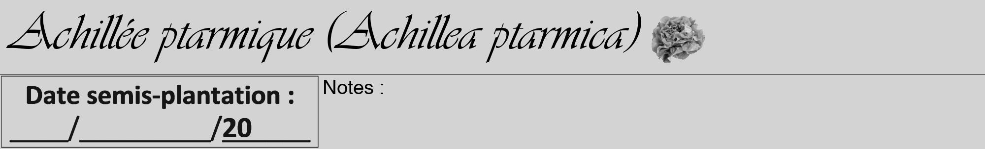 Étiquette de : Achillea ptarmica - format a - style noire56viv avec comestibilité simplifiée