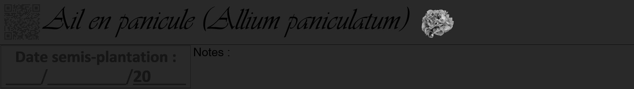 Étiquette de : Allium paniculatum - format a - style noire34viv avec qrcode et comestibilité simplifiée