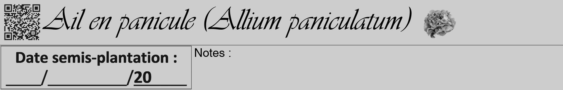Étiquette de : Allium paniculatum - format a - style noire41basiqueviv avec qrcode et comestibilité simplifiée