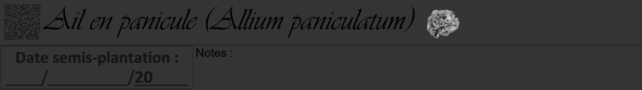 Étiquette de : Allium paniculatum - format a - style noire46viv avec qrcode et comestibilité simplifiée
