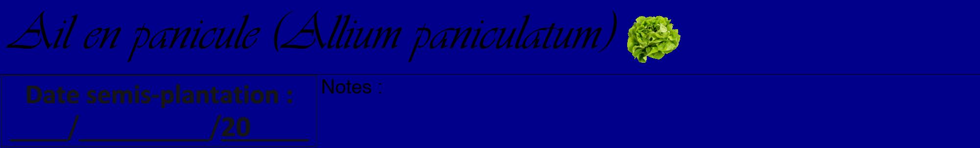 Étiquette de : Allium paniculatum - format a - style noire7viv avec comestibilité simplifiée