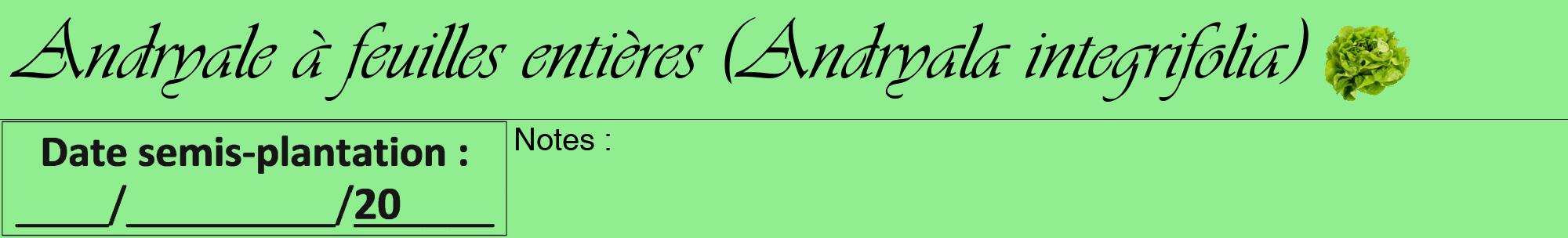 Étiquette de : Andryala integrifolia - format a - style noire15viv avec comestibilité simplifiée
